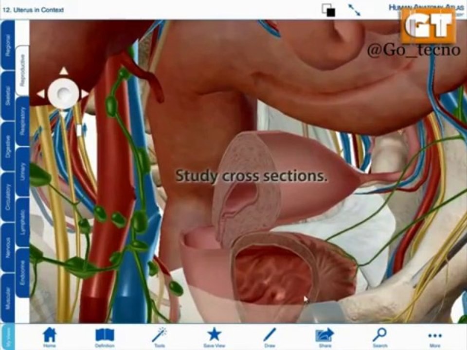 Descarga: Human Anatomy Atlas v3.0.1 [Mega]