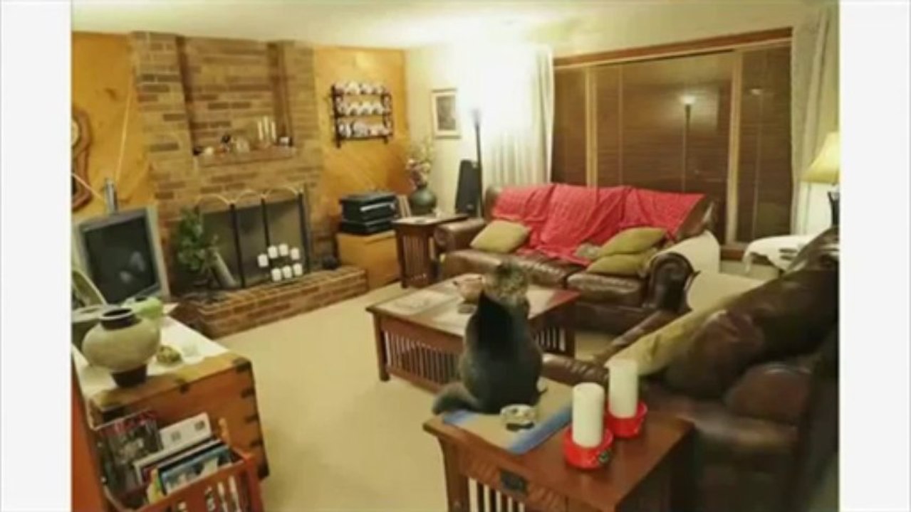 photography courses-Trick Photography Book Review