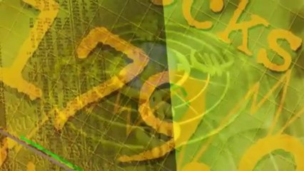 TradeMiner Great Forex SYSTEM