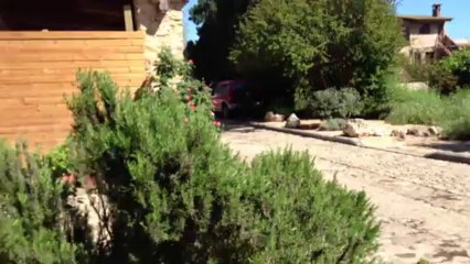 ESPAGNE 2013 : Village isolé 02 guèpes