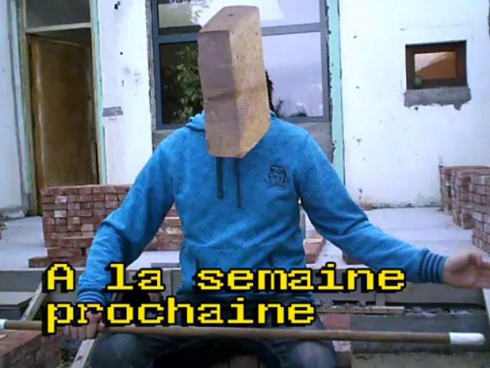 Des Briques et des Branques