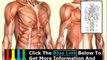 Human Anatomy Physiology Course James Ross Review + Human Anatomy Physiology Course