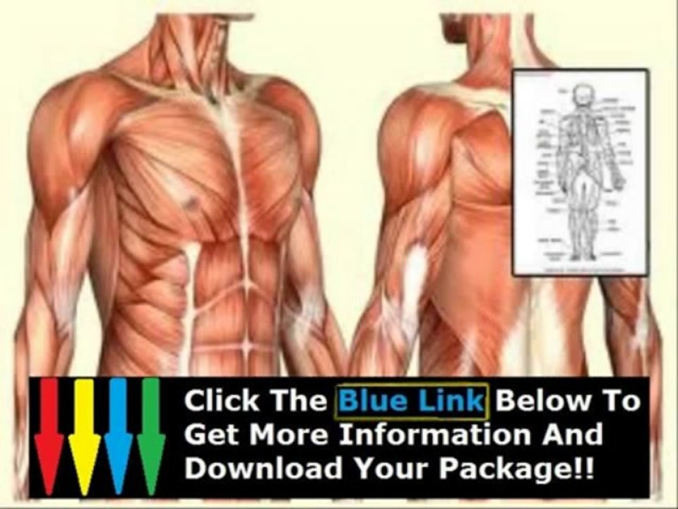 Human Anatomy Physiology Course James Ross Review + Human Anatomy Physiology Course