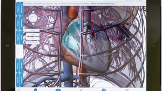 Human Anatomy Atlas tutorial for iPad (old)