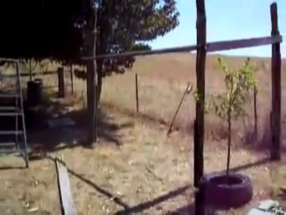 building a chicken coop part 1