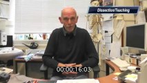 The University of Edinburgh-MSc Human Anatomy-Under 60 Seconds