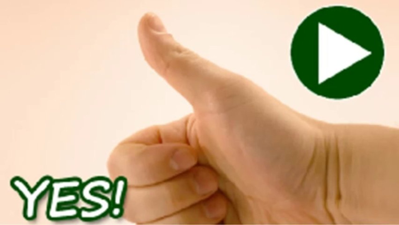 TopRecipes    Paleo Recipe Book Review    an honest review and insight