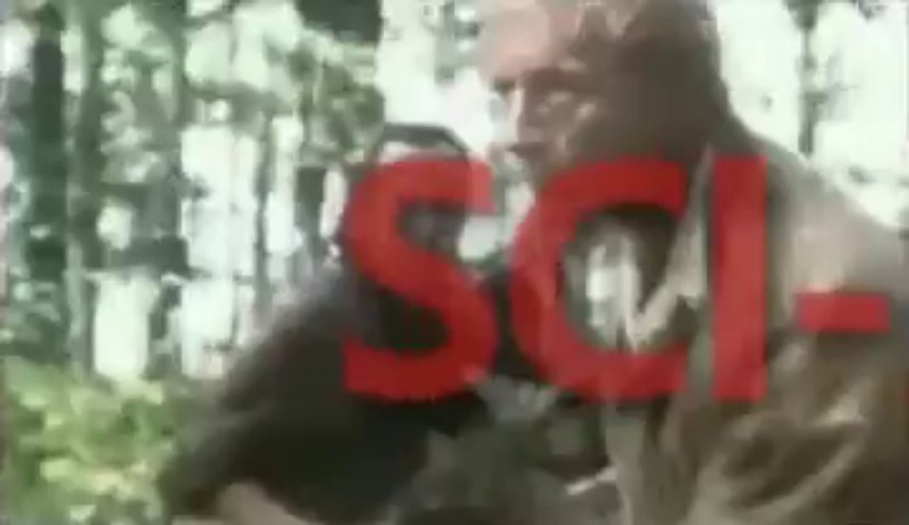 ⁣Movies Download Sites-Movies Capital