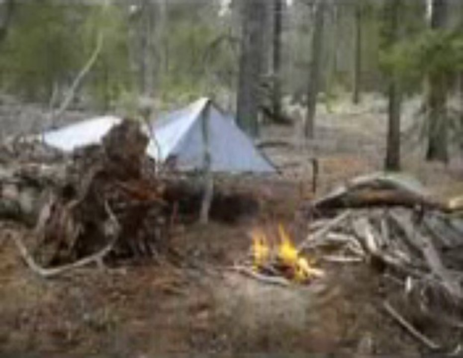 Family Survival Course Review | Long Term Family Survival Co