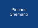 Pinchos Shemano 