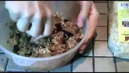 Paleo Recipe  Cave Bars  paleo recipe book