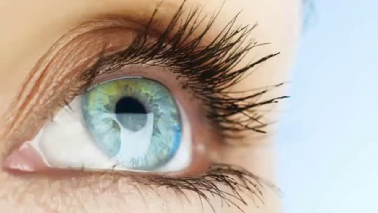 Vision Without Glasses 19 5