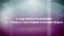 Buy Lupus Bible And Norton Protocol