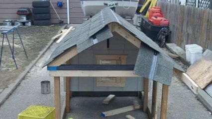 Building a chicken coop part 2