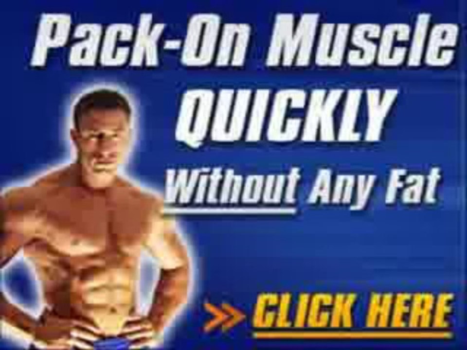 The Muscle Maximizer Free Download + The Muscle Maximizer Training Guide