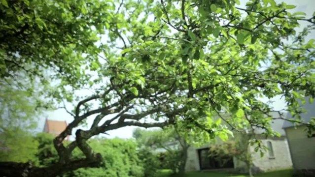 Hørbygaard - smukt kontor tæt på Holbæk