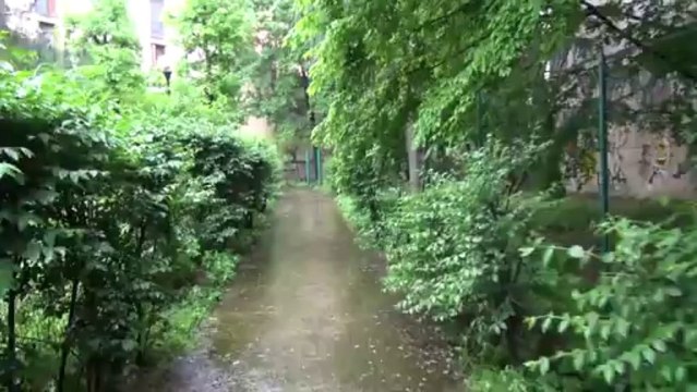 Videotest Sony HDR-CX730E (modo HQ - O.I.S. ON - giorno)