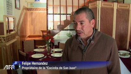 Nourriture à base d'insectes contre fast food au Mexique