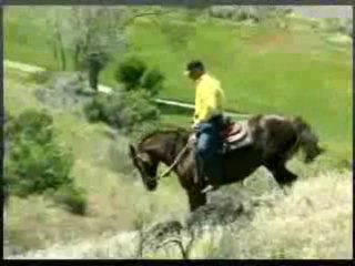 Horse Speed Control Techniques: Learn At MyHorseWorld with Josh Lyons