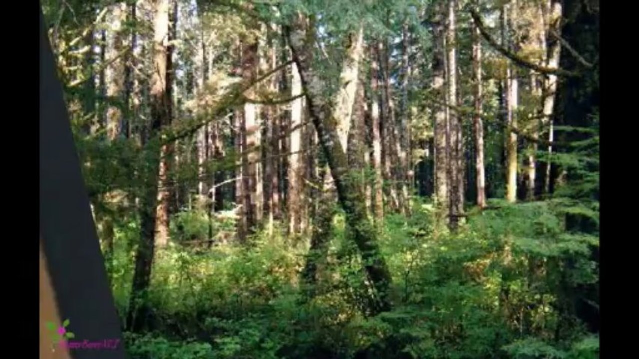 DIESEL Only The Brave Tattoo Eau De Toilette