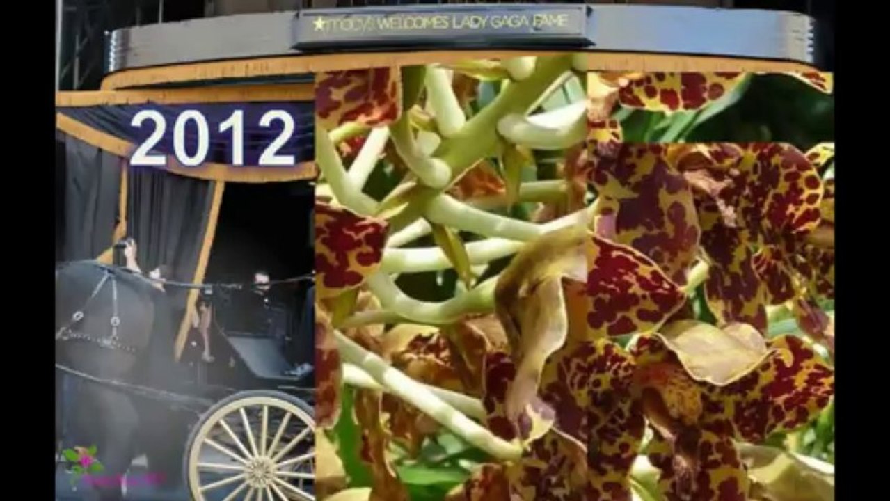 LADY GAGA Fame Eau De Parfum Spray