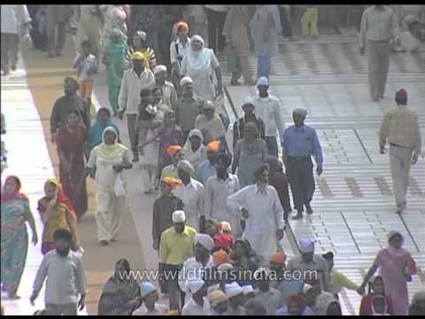 Pilgrims pay obeisance at Golden Temple of Amritsar