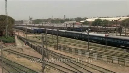 Train Journey DVD 160 47