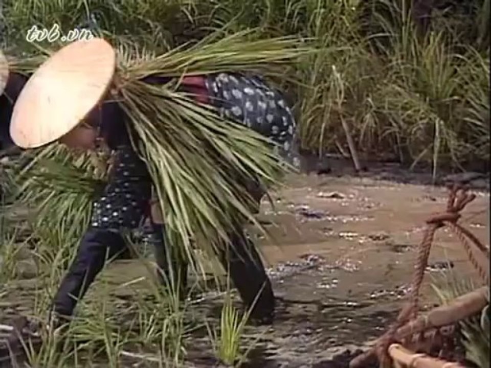 oshin137