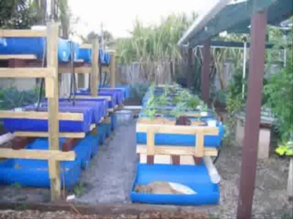 Easy DIY Aquaponics System Review and Plus Discounts Bonus