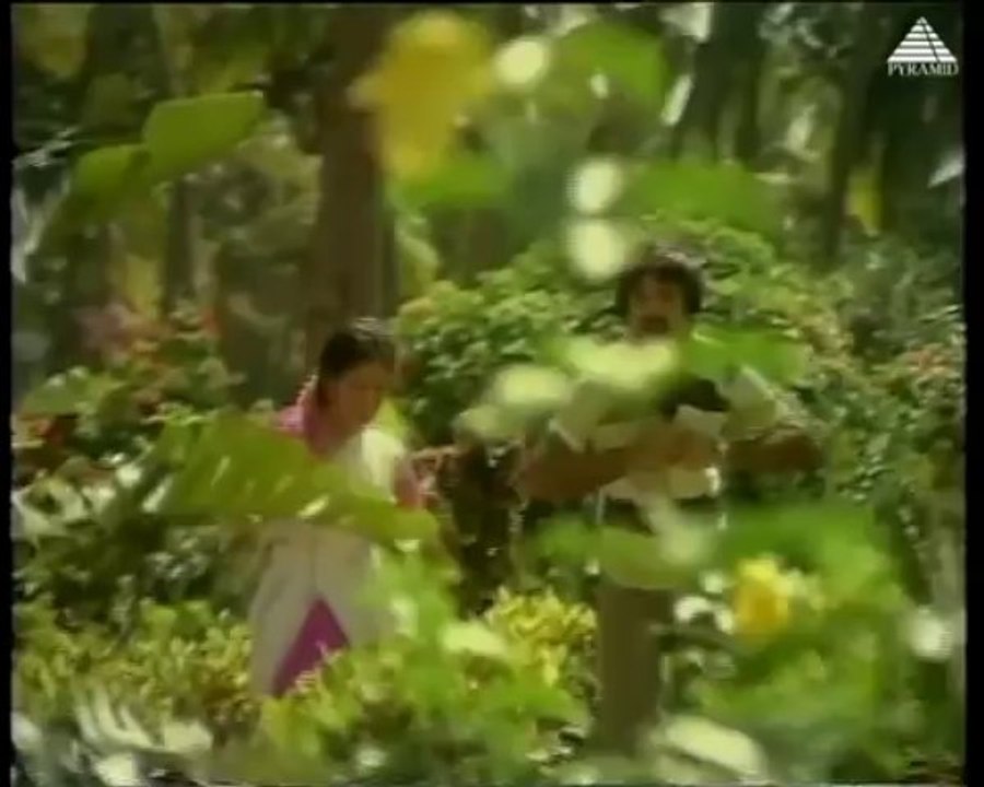 Kuyilae Kuyilae - AANPAAVAM (1985)