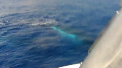 au large de st gilles