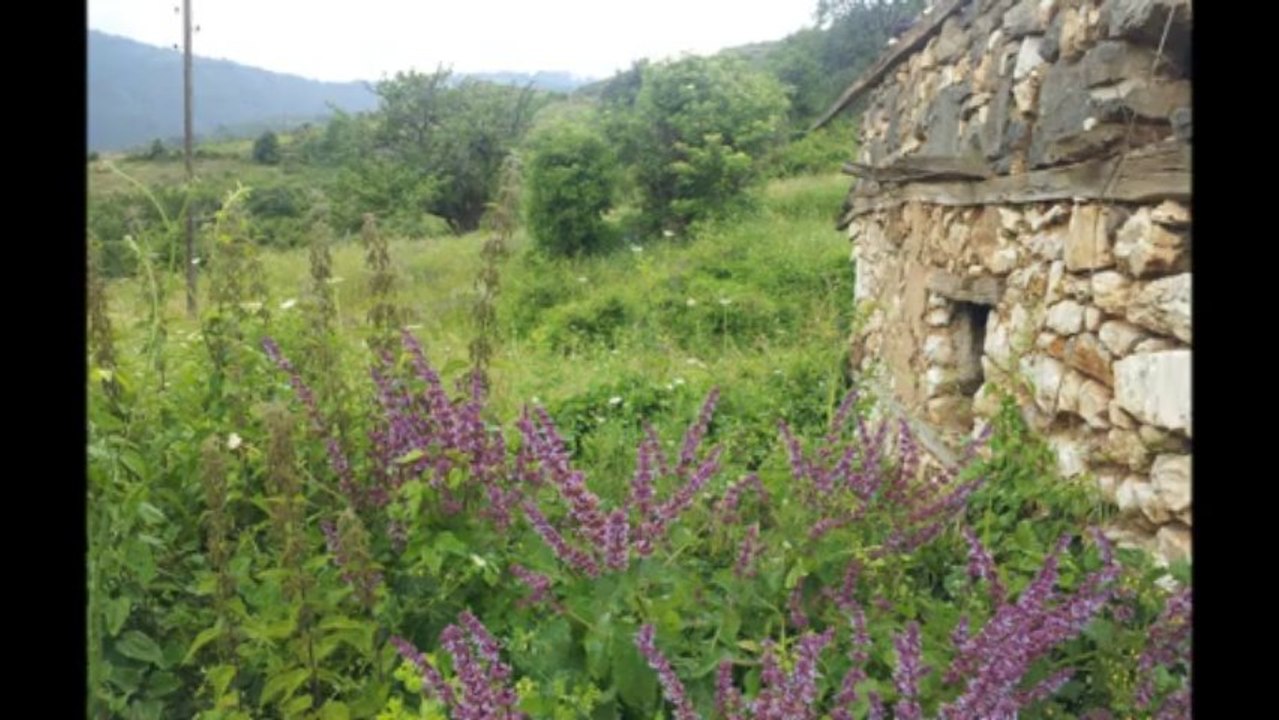 Sali dhe Feriz Krasniqi - Kanga Ura e Shejt