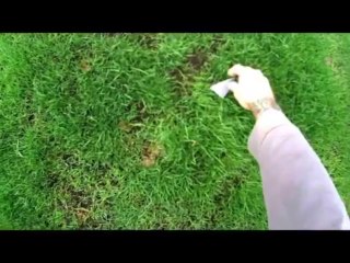 RCPowers F-35 v2. Finally found the perfect set up!