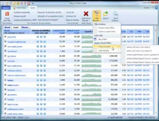 Micro Niche Finder & Market Samurai