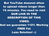 fat loss 4 idiots meal plan free
