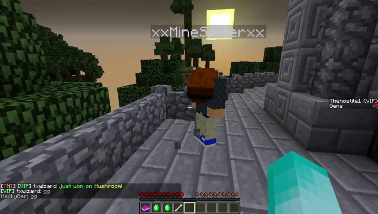 xxMineSpiderxx