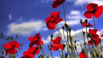 Seventh Heaven - CALMING MUSIC inspired by The LINDEN METHOD for Relaxation, Anxiety, Sleep & Panic