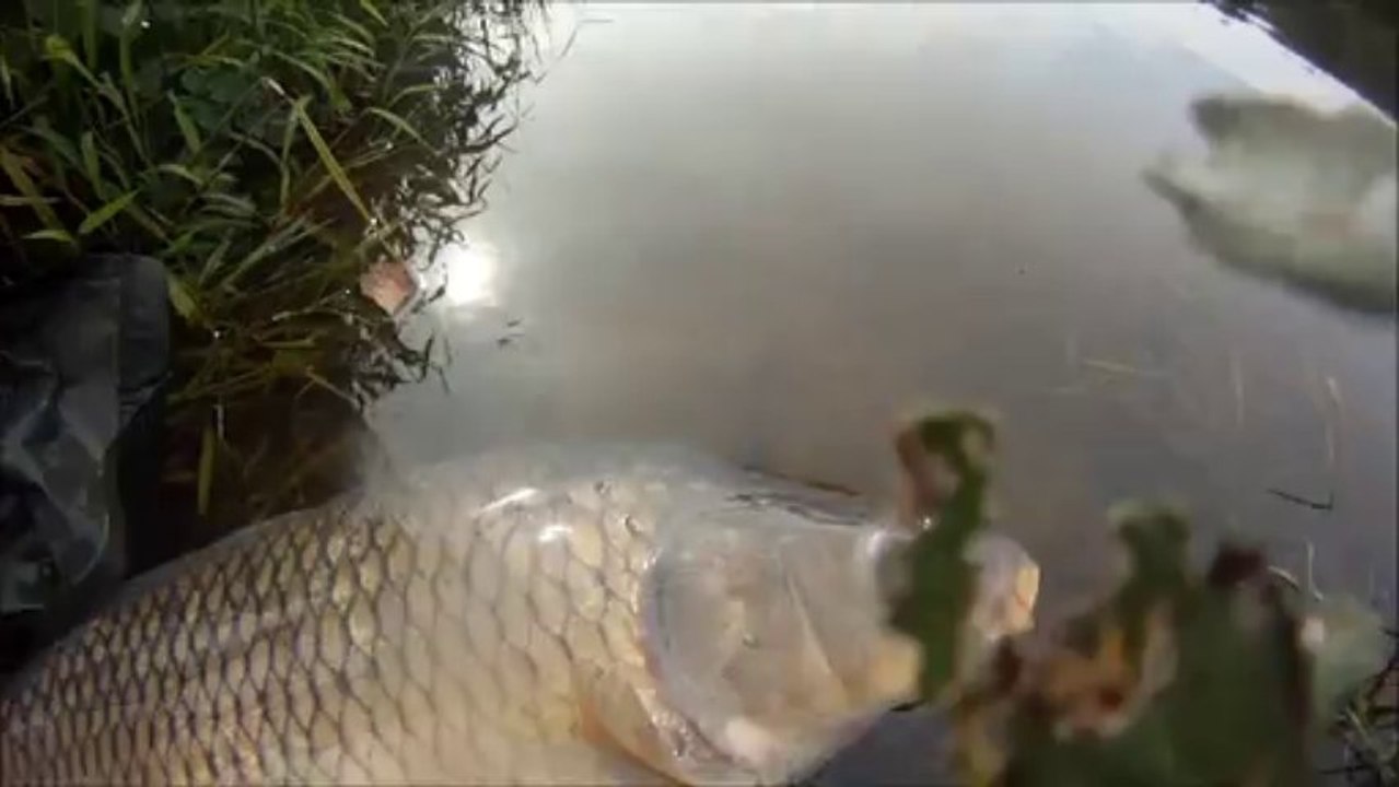 Carpe Diem II - Teaser II