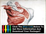 Human Anatomy Course High School   Human Anatomy Physiology Course James Ross Review