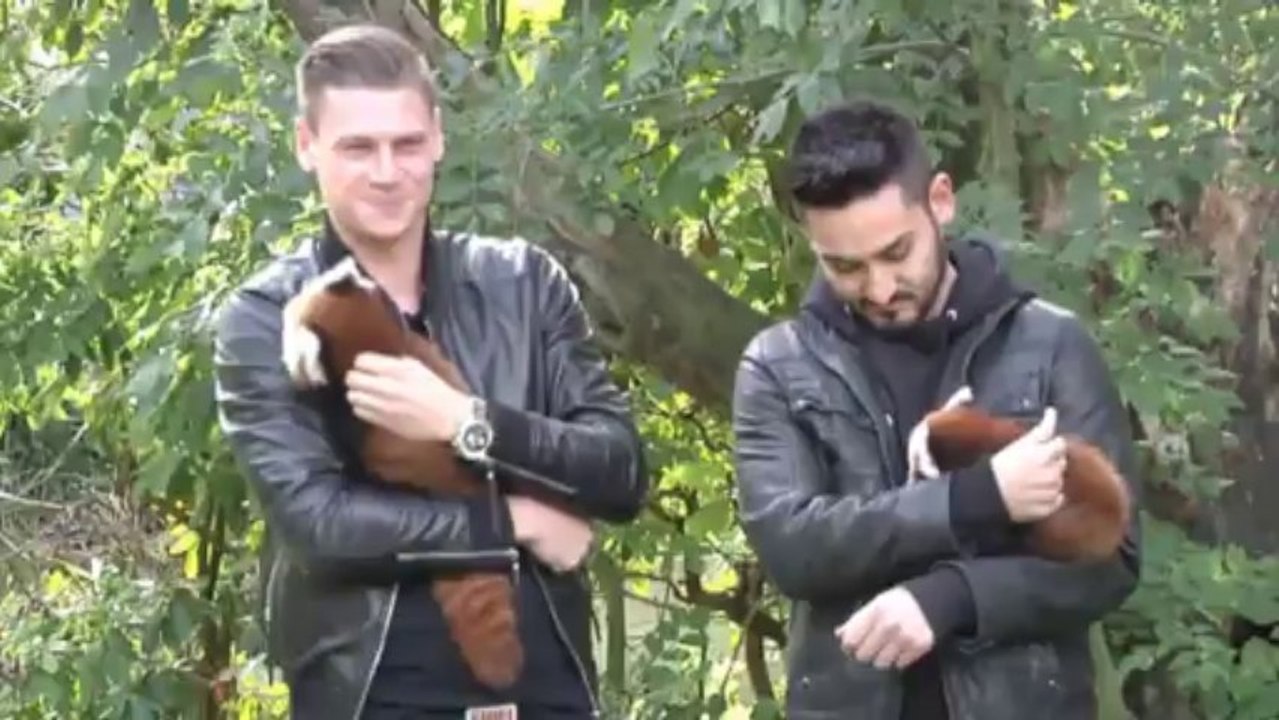 Zootag in Dortmund: BVB-Stars werden Panda-Paten