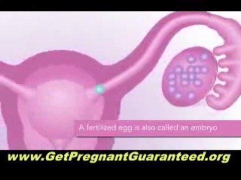Lisa Olson Pregnancy Miracle Review Reveals the Best Way On How to Get Pregnant Faster