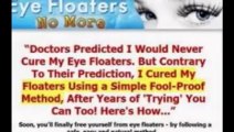 Eye Floaters No More Review |  Eye Floaters No More