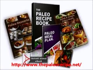 Brand New Paleo Cookbook   the paleo recipe book