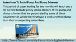 Penny Stock Egghead Pump and Dump + Penny Stock Egghead Pick
