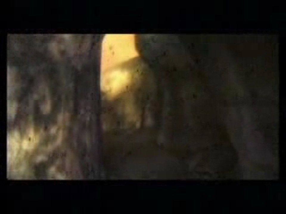 Zelda TP - Clips of gameplay