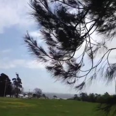 Mobile Capture 4 Oct 2013