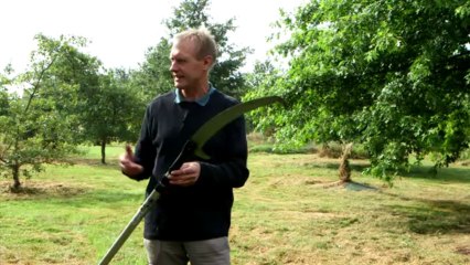 Les outils sur perche