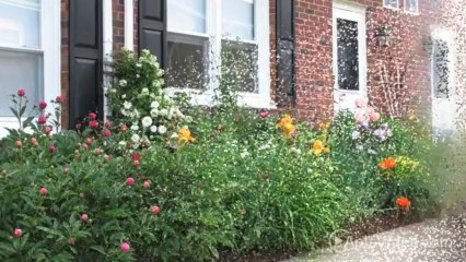 The Fairways Apartments in Worcester, MA - ForRent.com