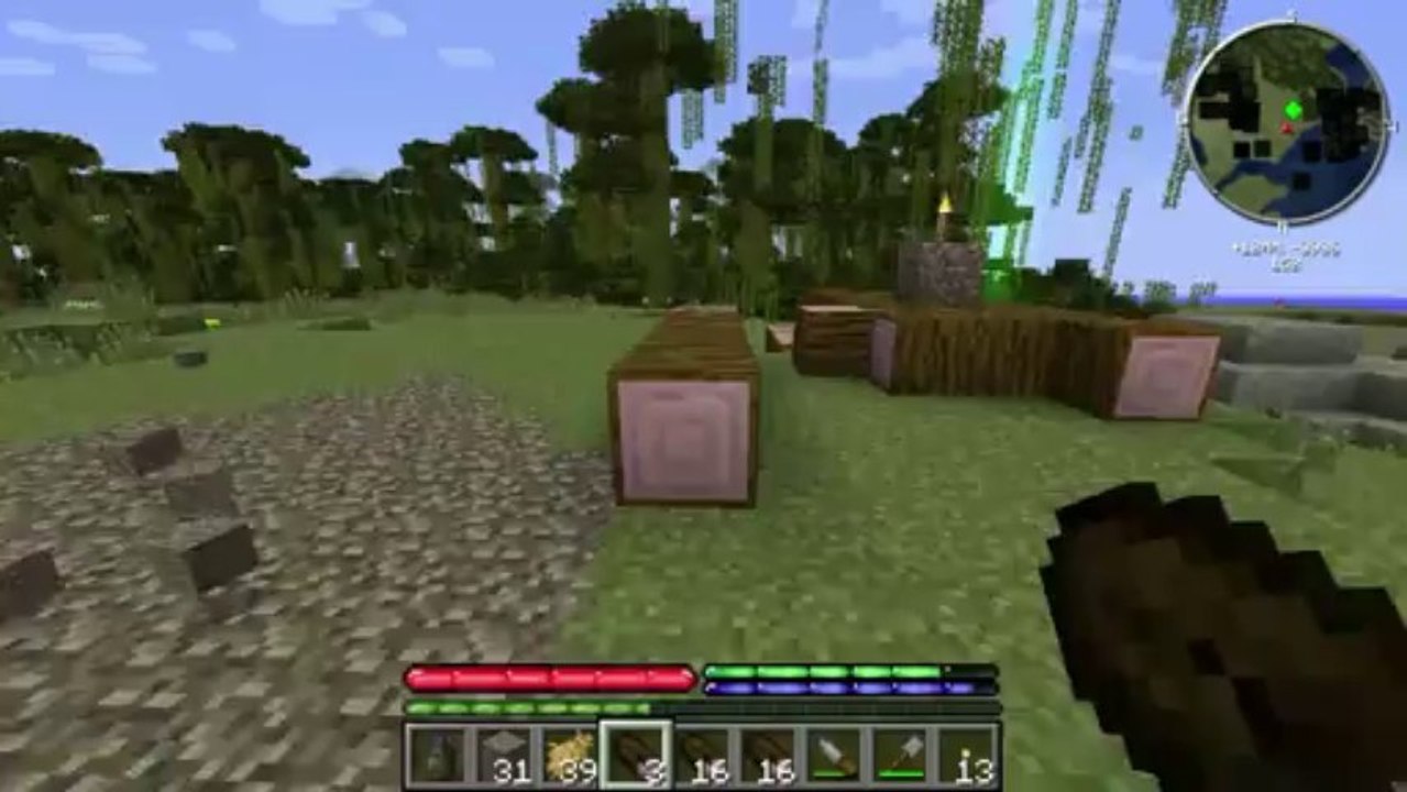 SpitNine sur TerraFirmaCraft Ep 07