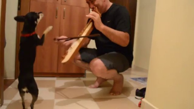 Horon Tepen Köpekcik